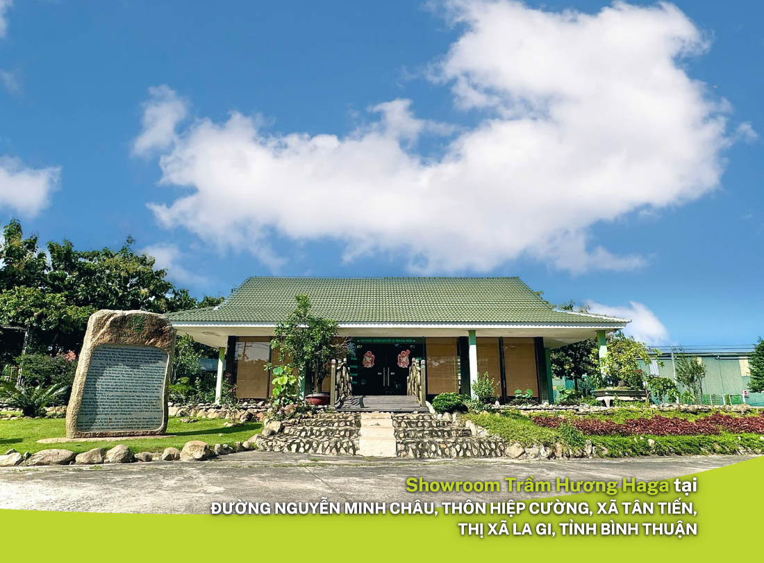 showroom-tram-huong-haga_1