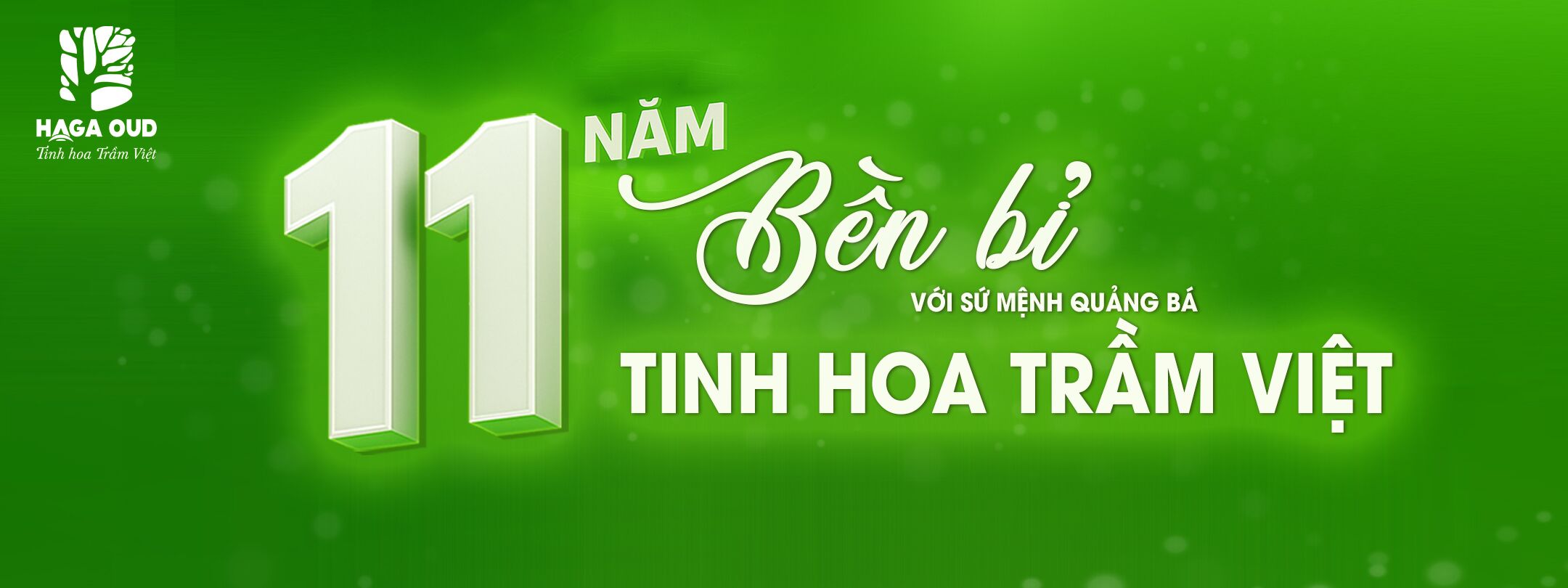 website-11nam